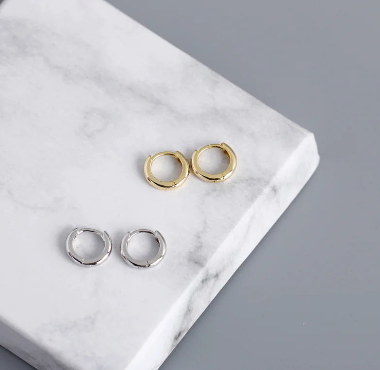 EH1002 Round Gold Plated S925 Silver Hoop Earrings