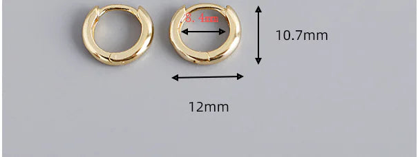 EH1002 Round Gold Plated S925 Silver Hoop Earrings