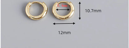 EH1002 Round Gold Plated S925 Silver Hoop Earrings