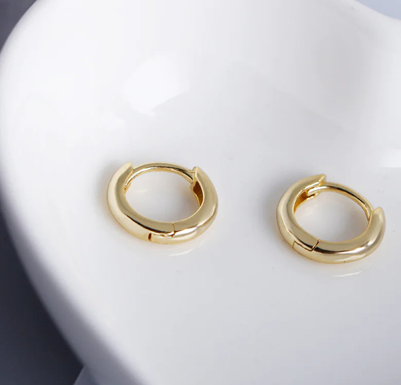 EH1002 Round Gold Plated S925 Silver Hoop Earrings