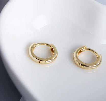 EH1002 Round Gold Plated S925 Silver Hoop Earrings